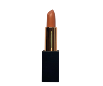 images/productimages/small/lipstick-08-orange-brown-skin-color-cosmetics.png